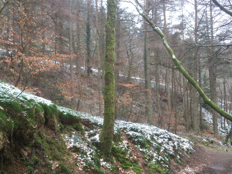 Twrch Trail - Cwmcarn