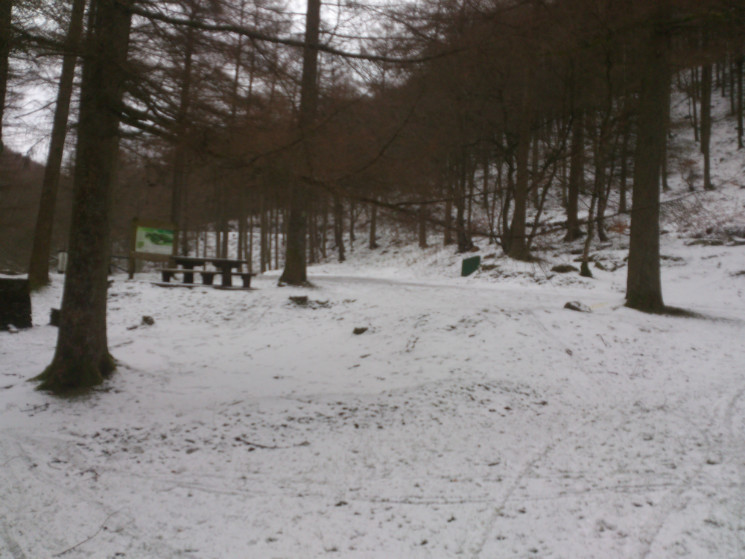 Twrch Trail - Cwmcarn