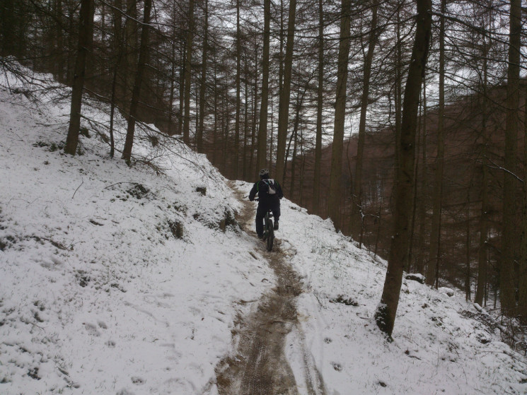 Twrch Trail - Cwmcarn