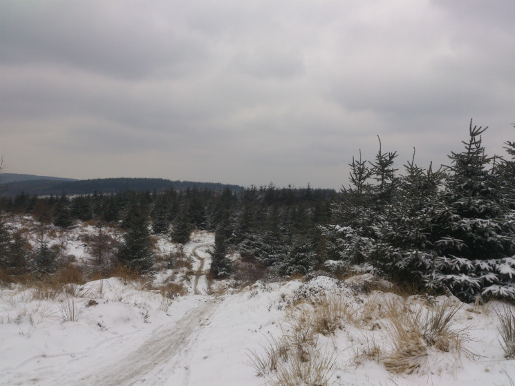 Twrch Trail - Cwmcarn