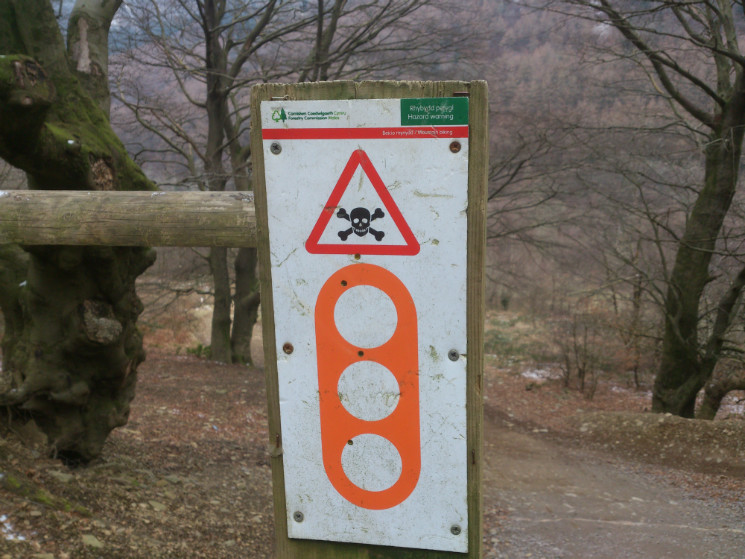 Twrch Trail - Cwmcarn