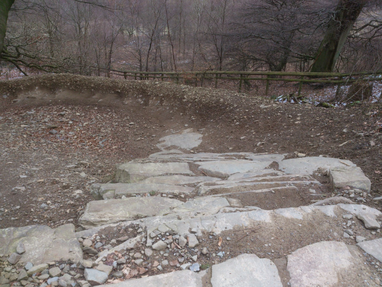 Twrch Trail - Cwmcarn