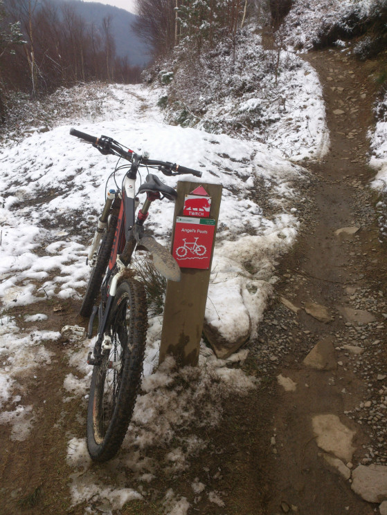 Twrch Trail - Cwmcarn