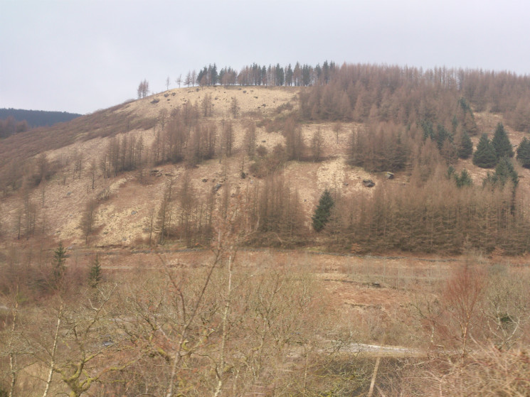 Whites Level Trail - Afan Forest