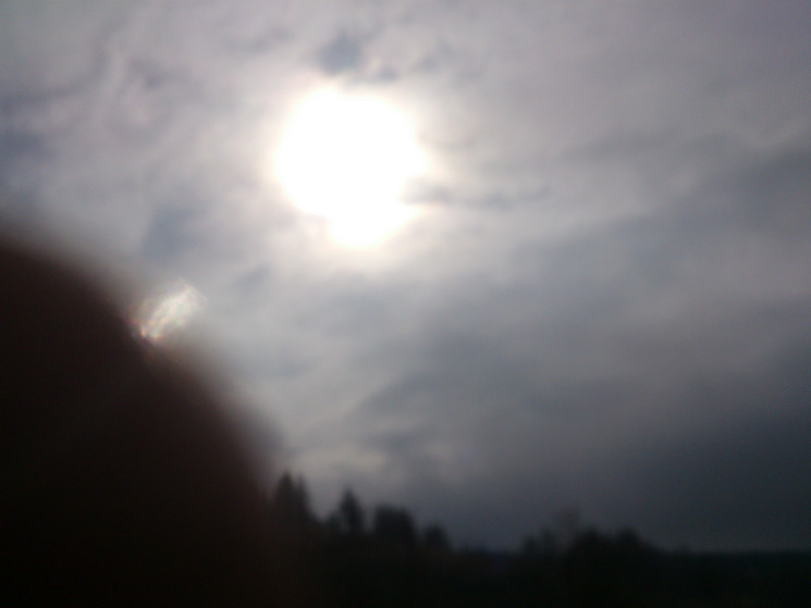 Whites Level Trail - Afan Forest