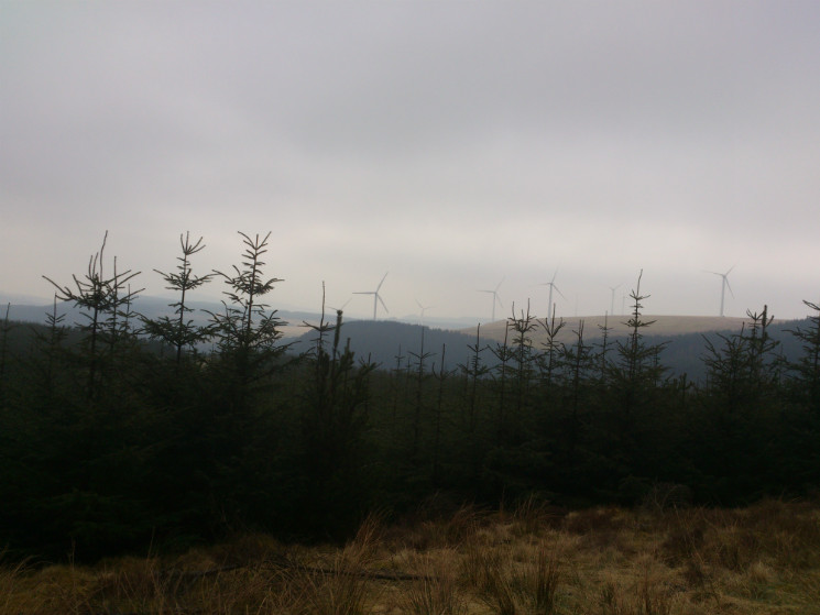 Whites Level Trail - Afan Forest