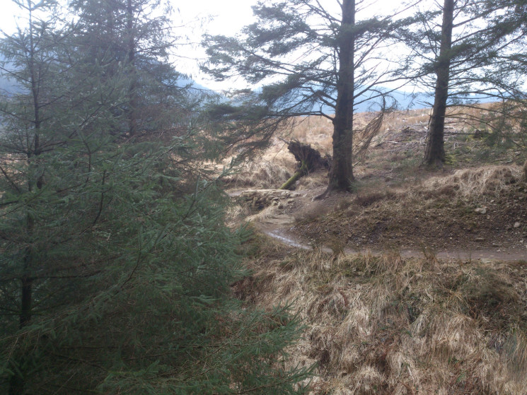 Whites Level Trail - Afan Forest