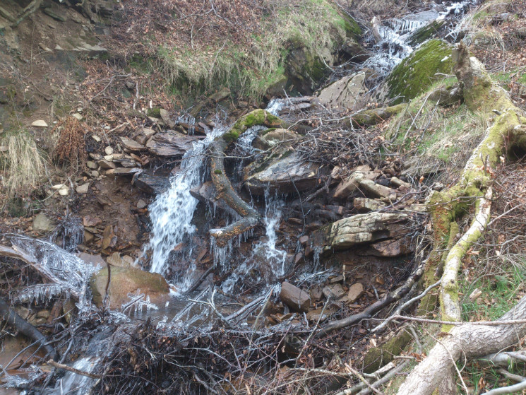 Whites Level Trail - Afan Forest