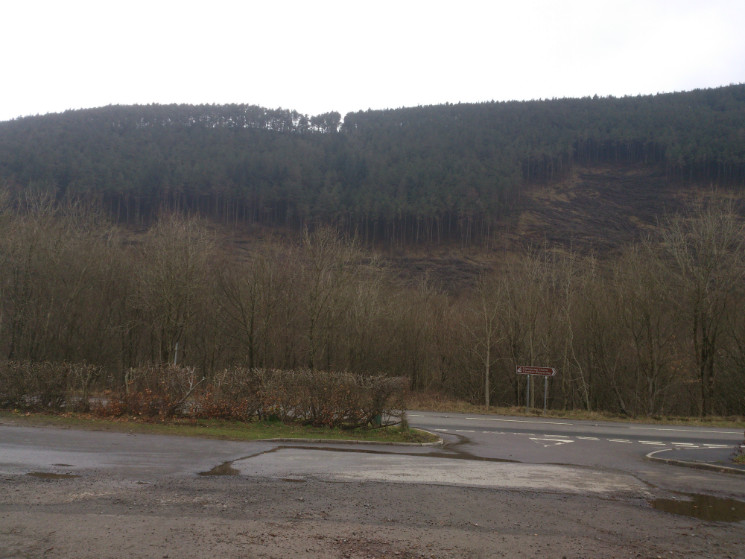 The Wall Trail - Afan Forest