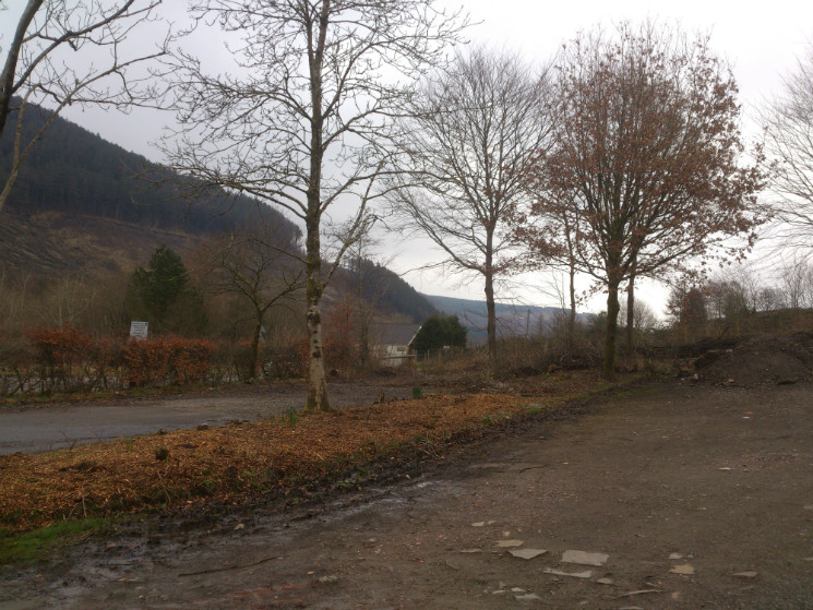 The Wall Trail - Afan Forest