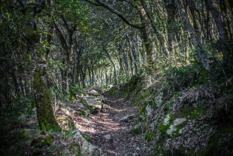 Bluegrass Enduro World Tour - Round 1

Photo Credit - Salvatore Longo 