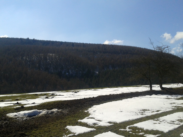 Hopton Woods Area 03.04.2013
