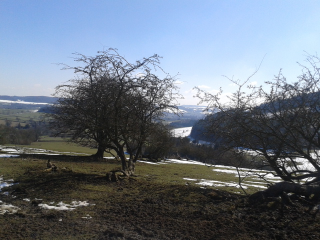 Hopton Woods Area 03.04.2013
