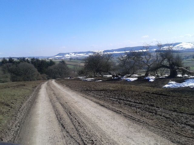 Hopton Woods Area 03.04.2013
