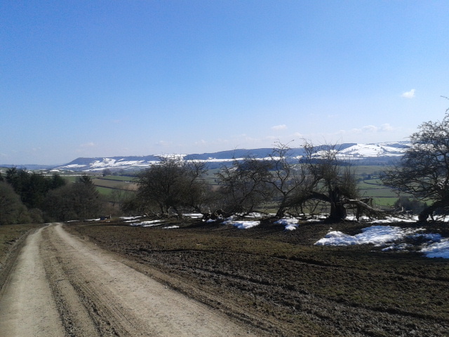 Hopton Woods Area 03.04.2013
