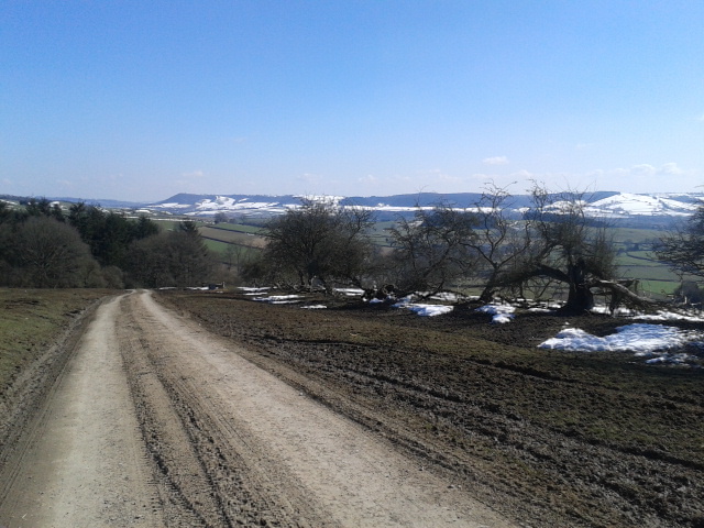Hopton Woods Area 03.04.2013
