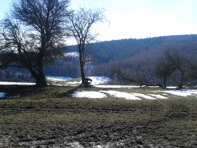 Hopton Woods Area 03.04.2013
