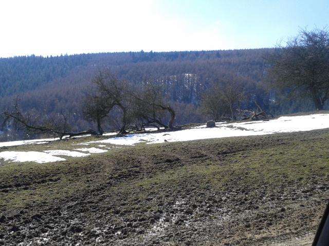 Hopton Woods Area 03.04.2013
