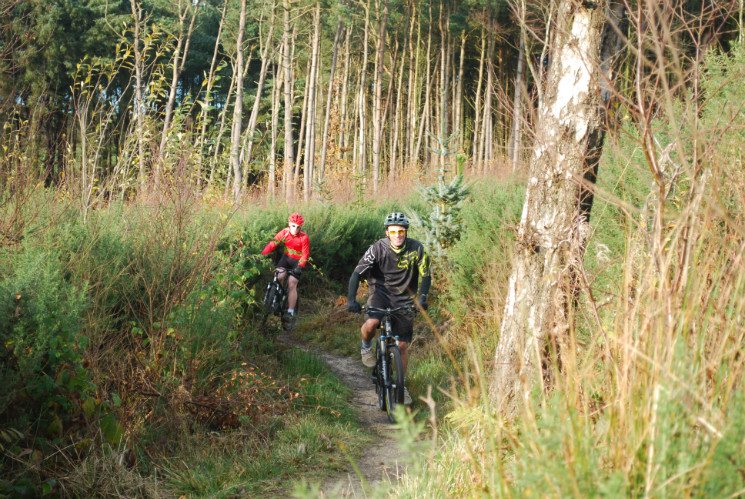 Stainburn Forest Mountain Bike Trail Centre