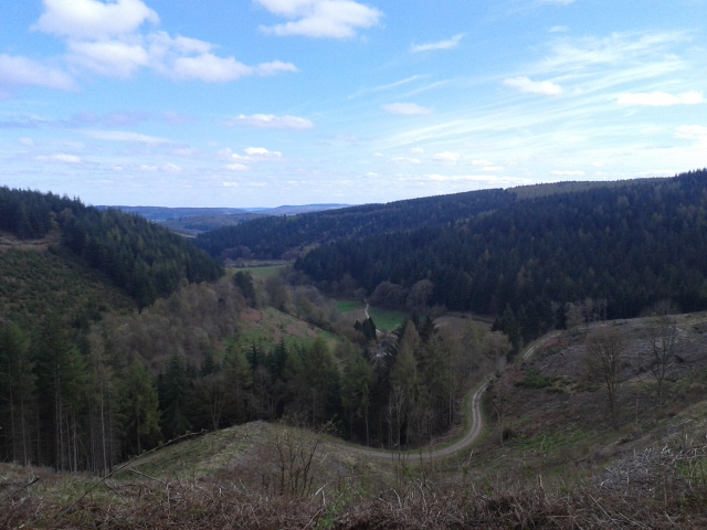 Hopton Woods (Pearce Cycles Trail)
