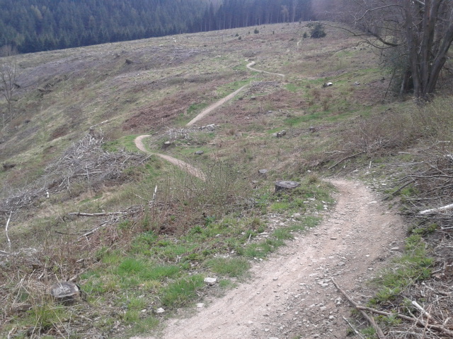 Hopton Woods (Pearce Cycles Trail