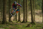 Hopping through the forest.. www.caldwellvisuals.com 