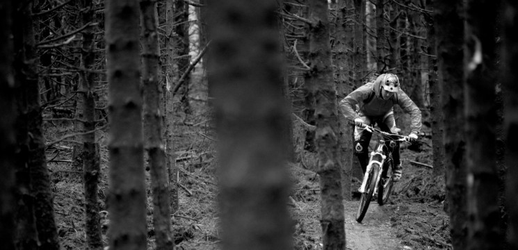 chain reaction cycles trails