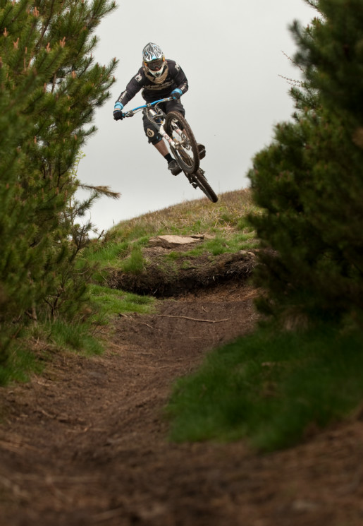 Stepdown into the woods