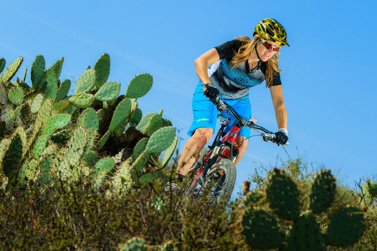 troy lee designs 2013