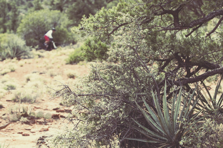 AVID - Chasing Trail: Curtis Keene