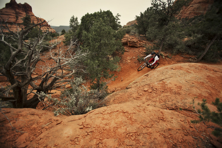 AVID - Chasing Trail: Curtis Keene