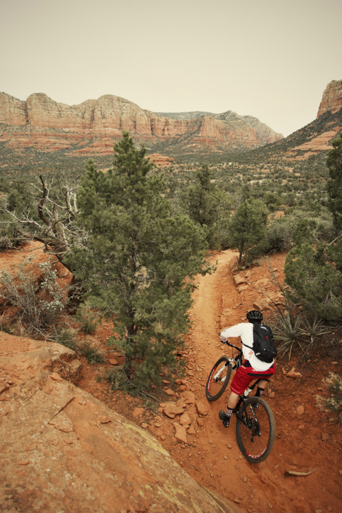 AVID - Chasing Trail: Curtis Keene