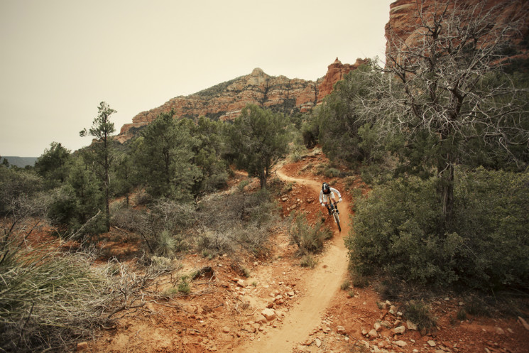 AVID - Chasing Trail: Curtis Keene