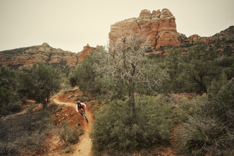 AVID - Chasing Trail: Curtis Keene