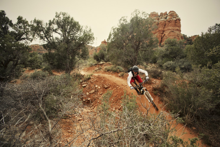 AVID - Chasing Trail: Curtis Keene