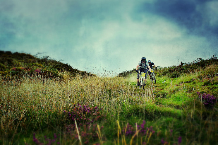 mondraker gravity rally