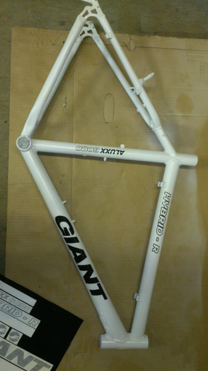 Decals on, looking fresh!