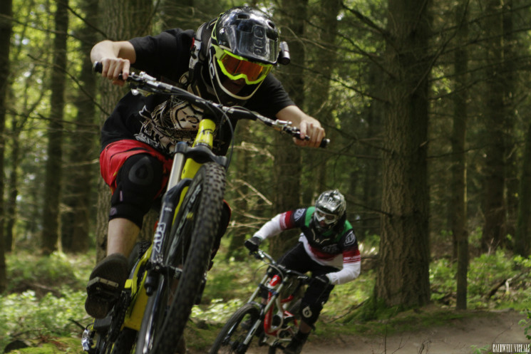 Downhill Trails - Forest of Dean