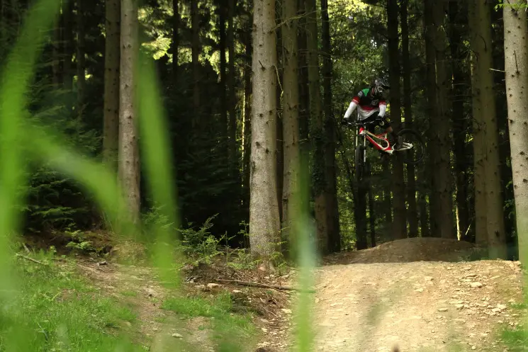 Downhill Trails - Forest of Dean