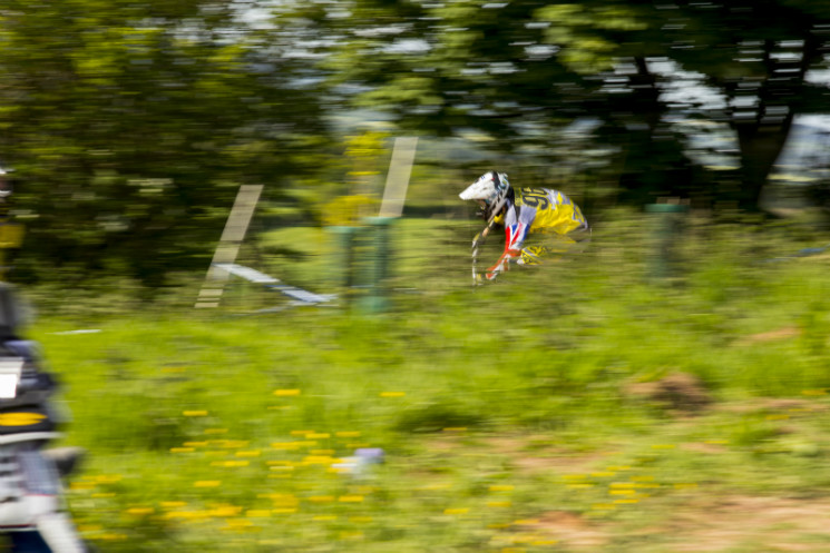 Schwalbe British and European 4X 2013 - Harthill 