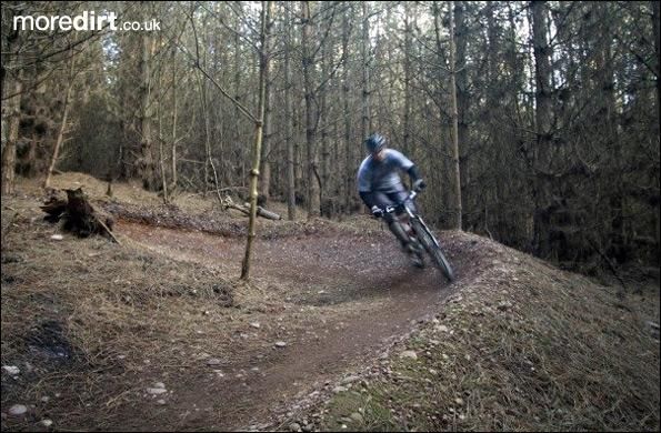 Follow the Dog Trail - Cannock Chase