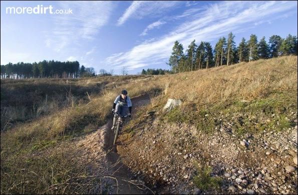 Follow the Dog Trail - Cannock Chase