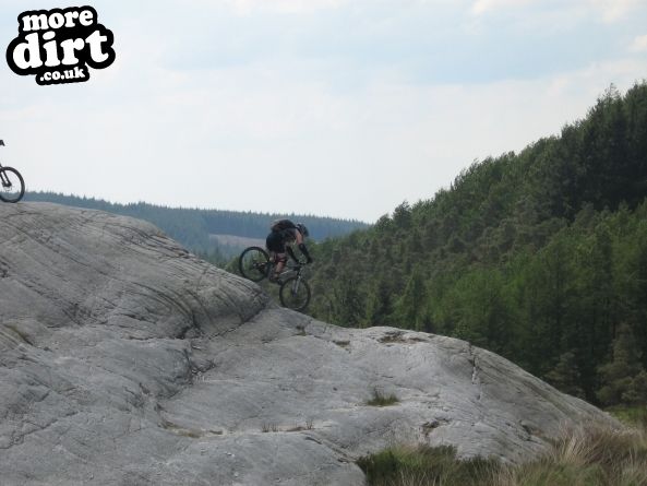 Black Craigs Trail - Kirroughtree