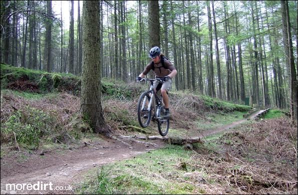 Penhydd Trail -  Afan Forest