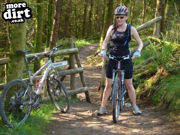 The Wall Trail - Afan Forest