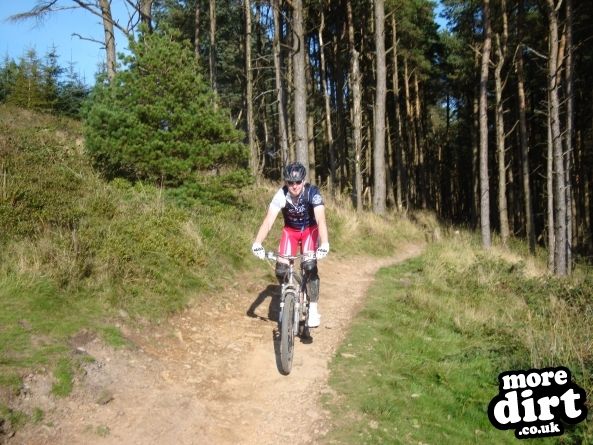 The Wall Trail - Afan Forest