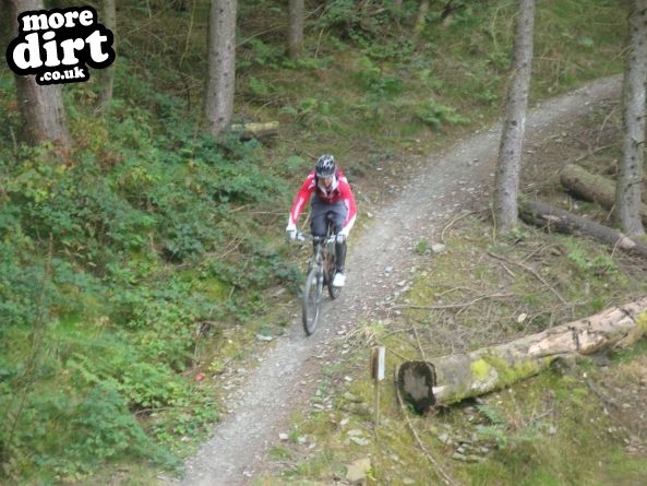 Gorlech Trail - Brechfa