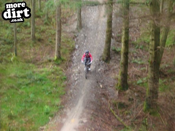 Gorlech Trail - Brechfa