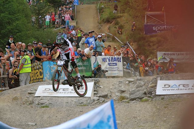 Santa Cruz Syndicate