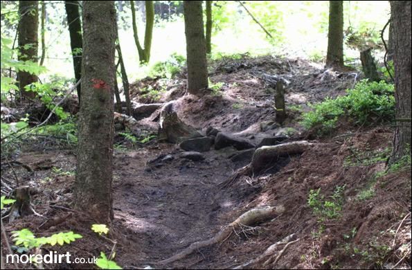 Silton Forest Downhill Track